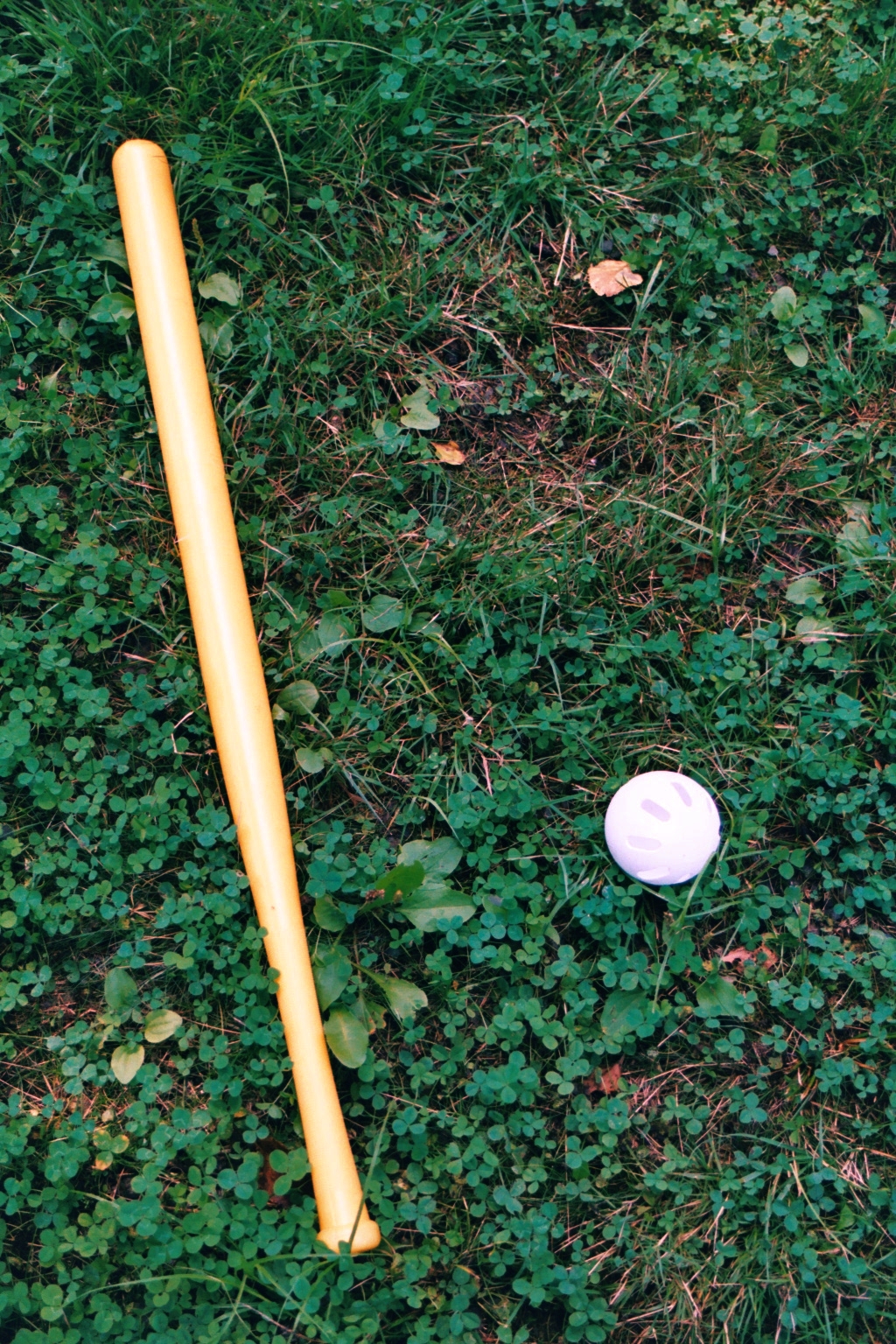 Wiffle Ball — Wikimedia Commons