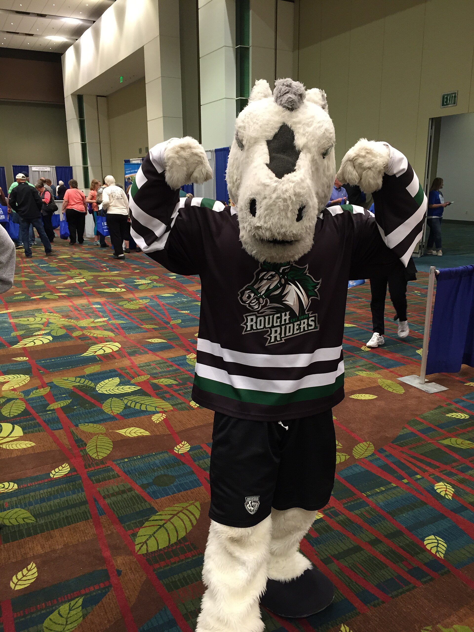 Cedar Rapids RoughRiders — Wikimedia Commons