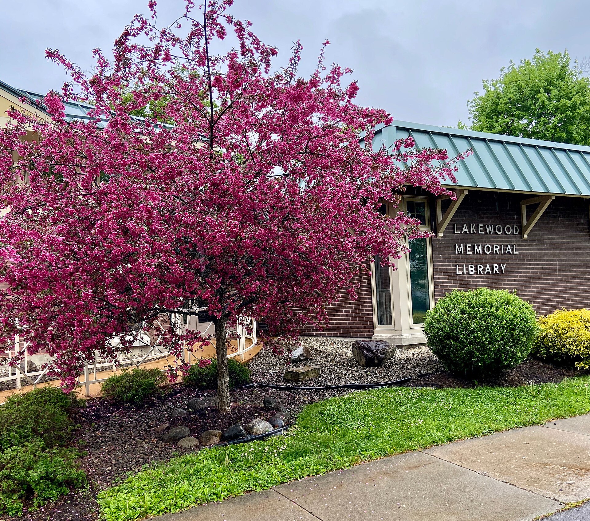 Lakewood Memorial Library — Wikimedia Commons