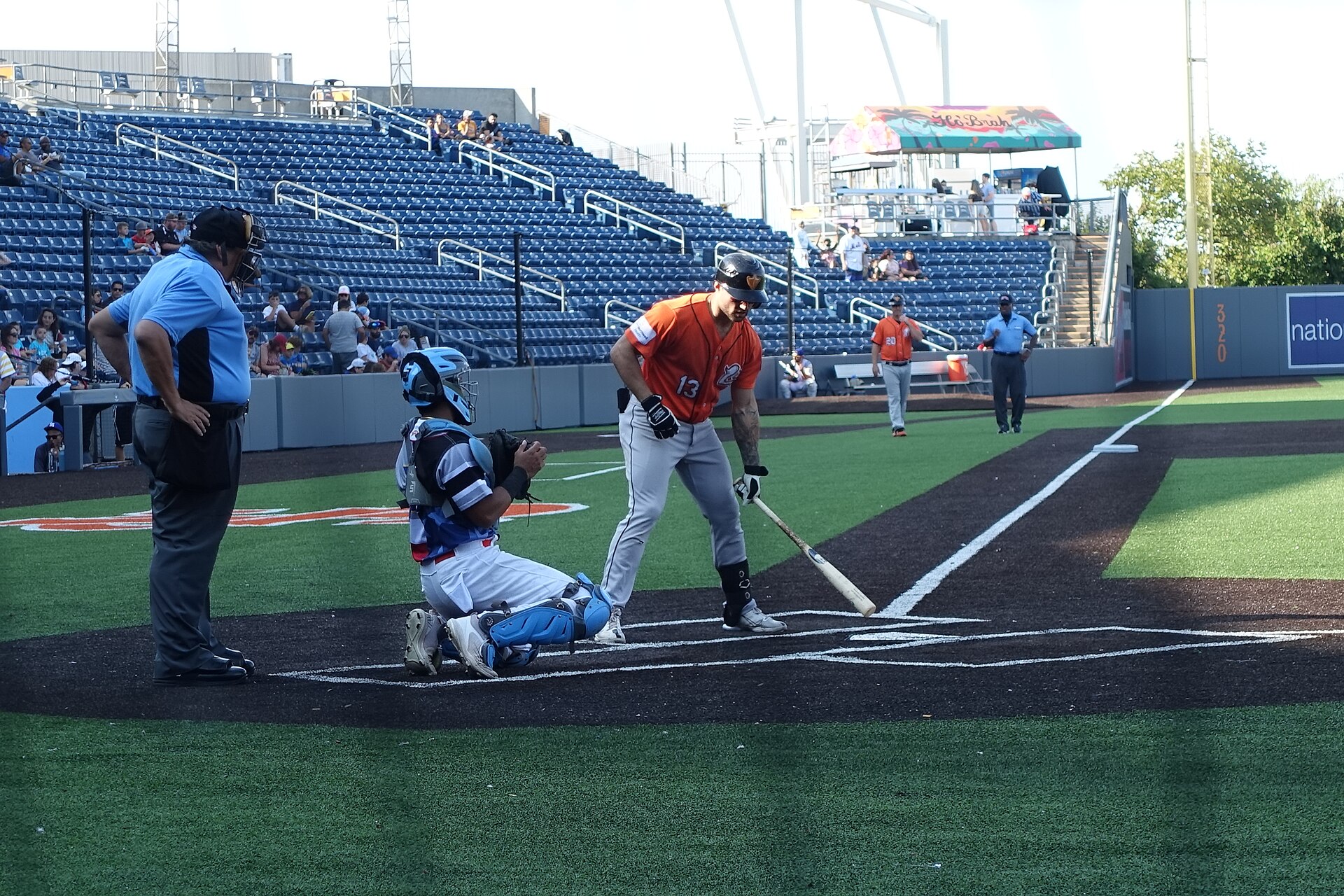 Long Island Ducks — Wikimedia Commons
