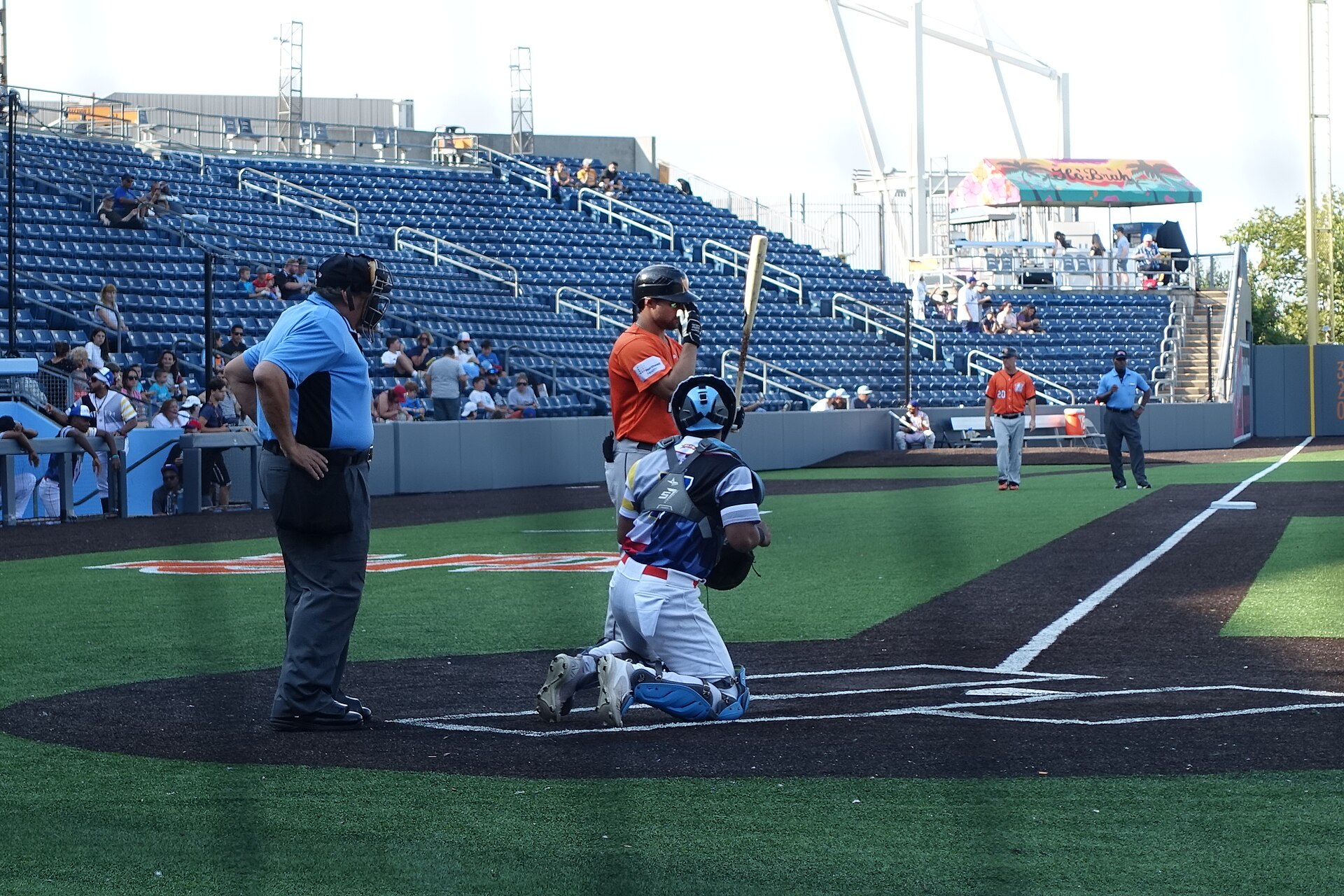 Long Island Ducks — Wikimedia Commons