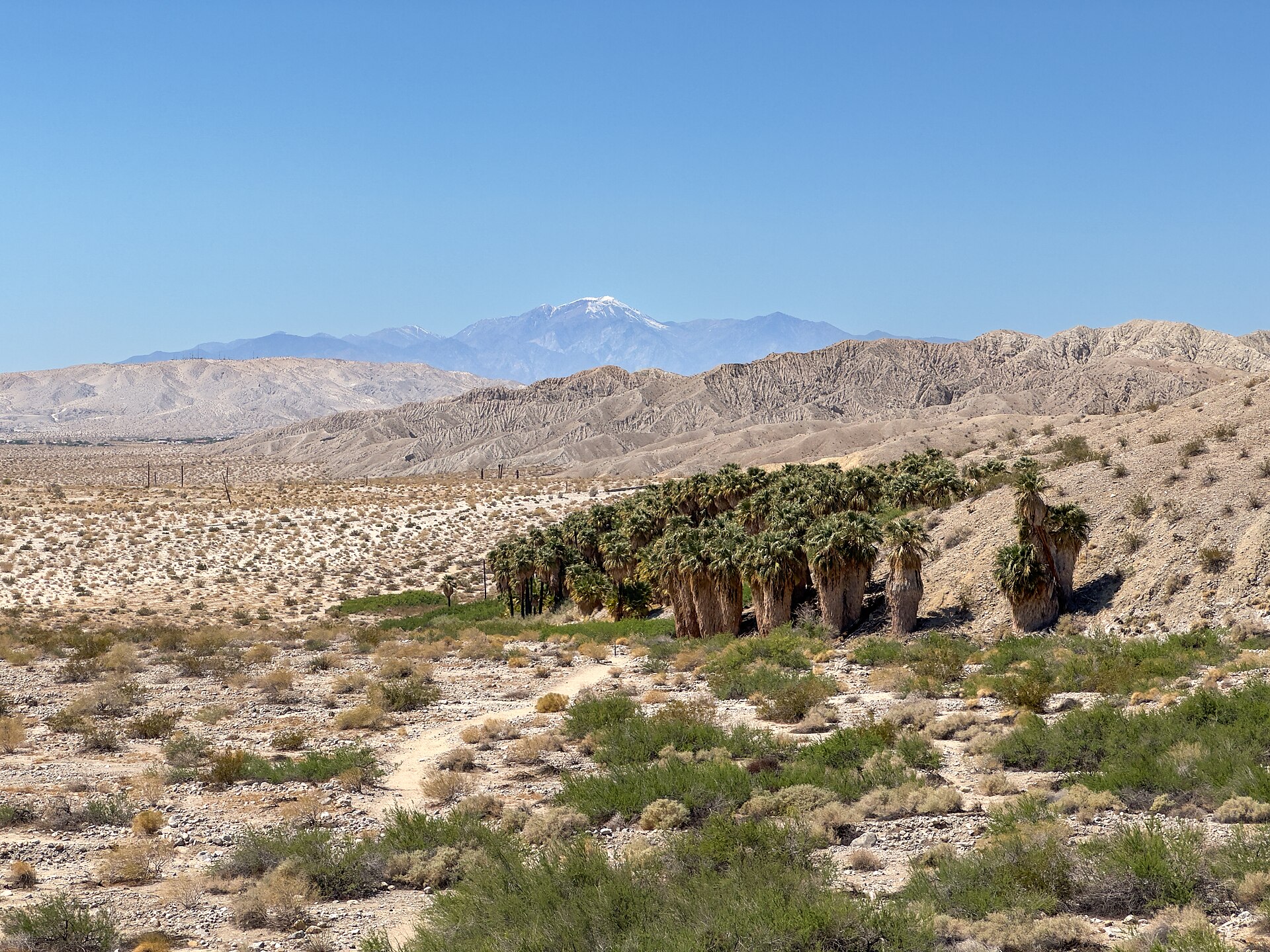 Coachella — Wikimedia Commons