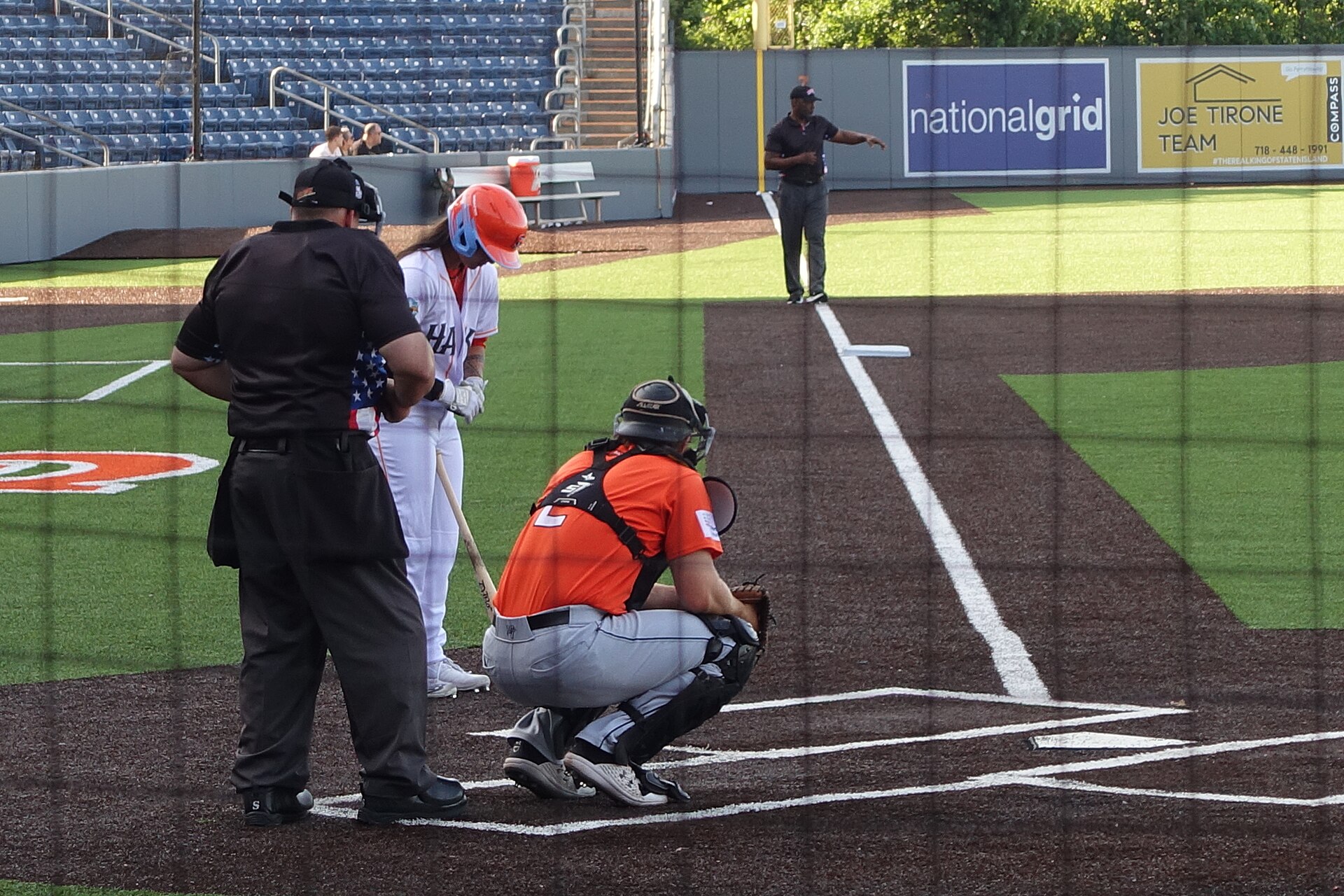 Long Island Ducks — Wikimedia Commons