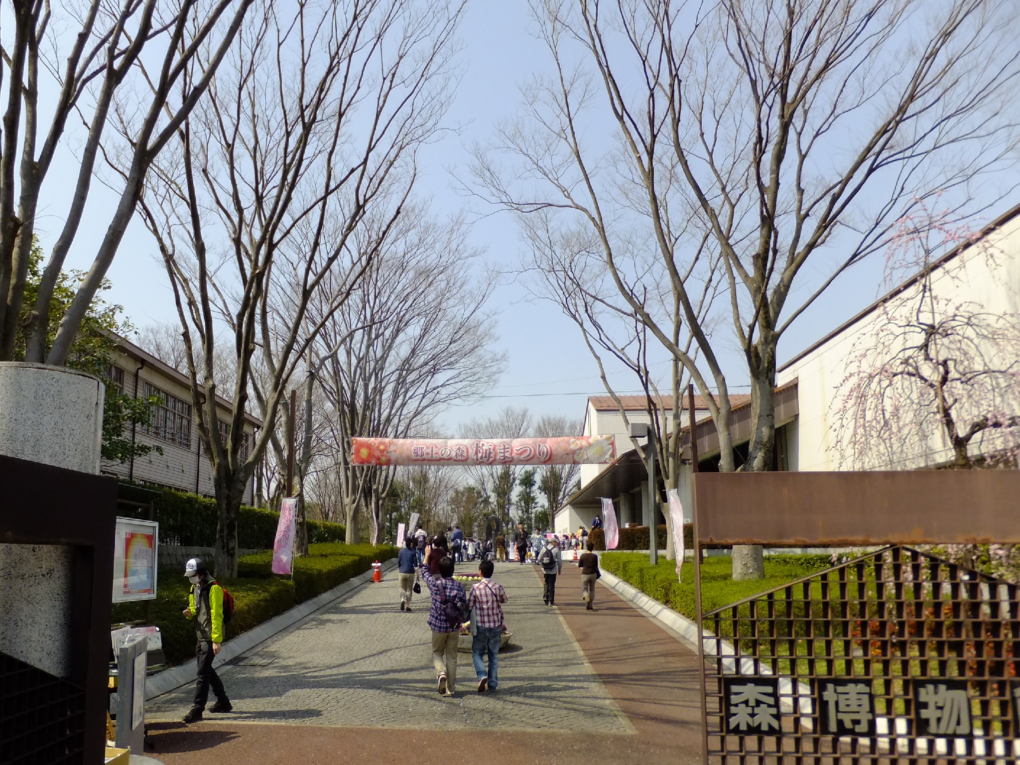 Related photo