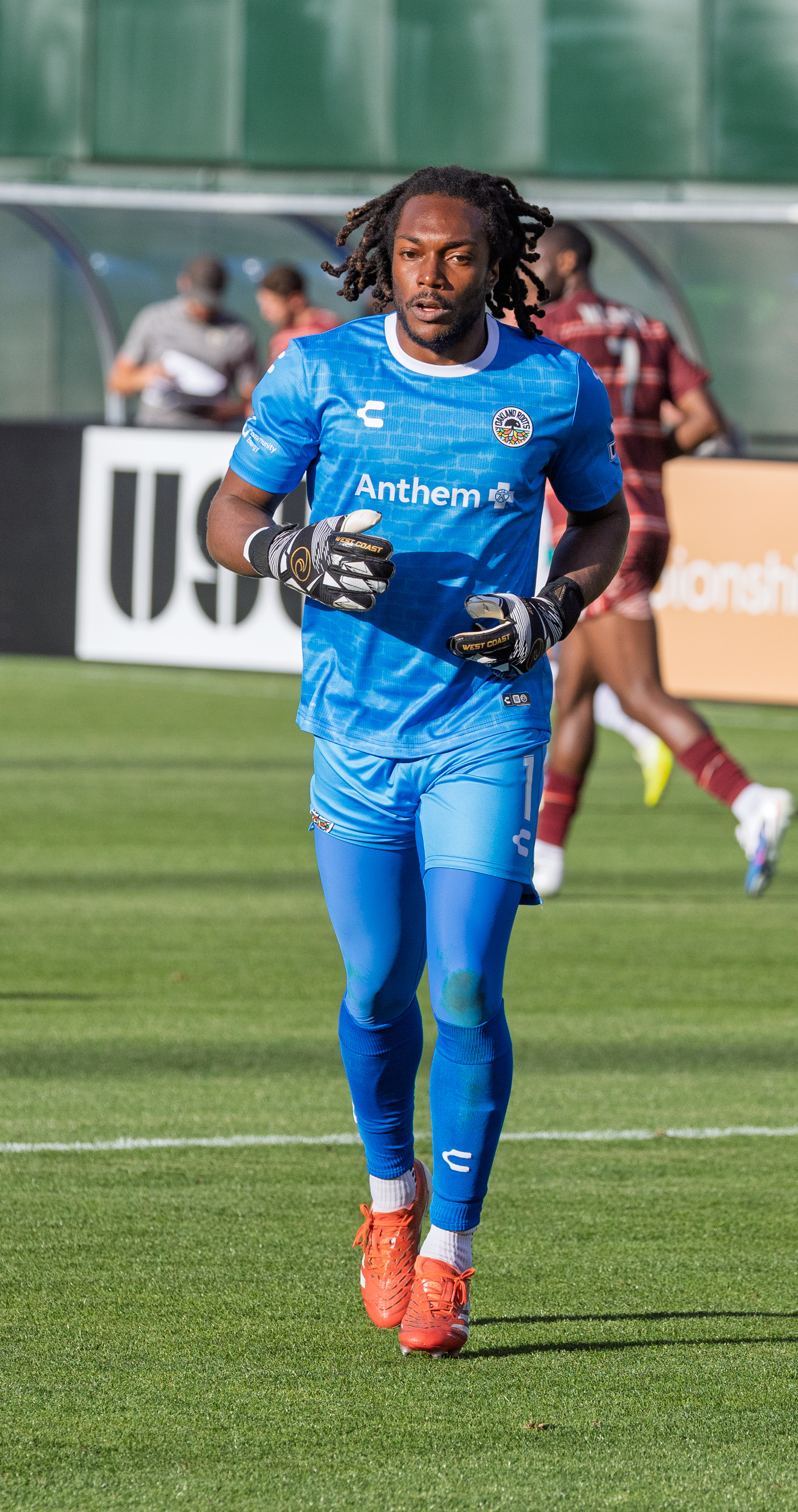 Kendall McIntosh — Wikimedia Commons