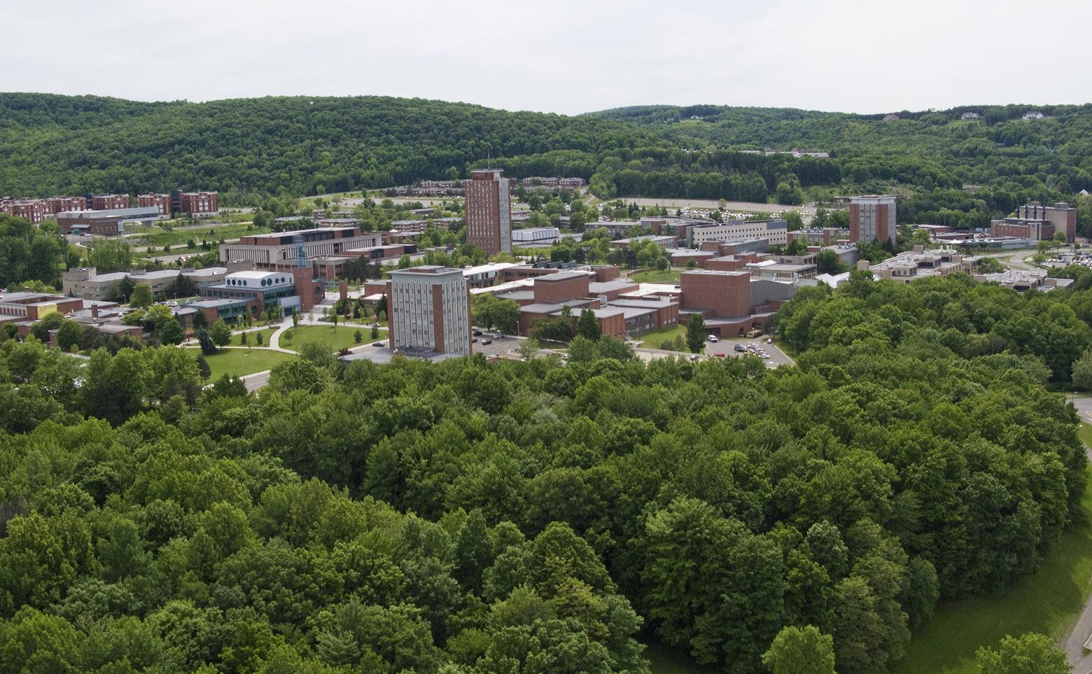 Binghamton University — Wikimedia Commons