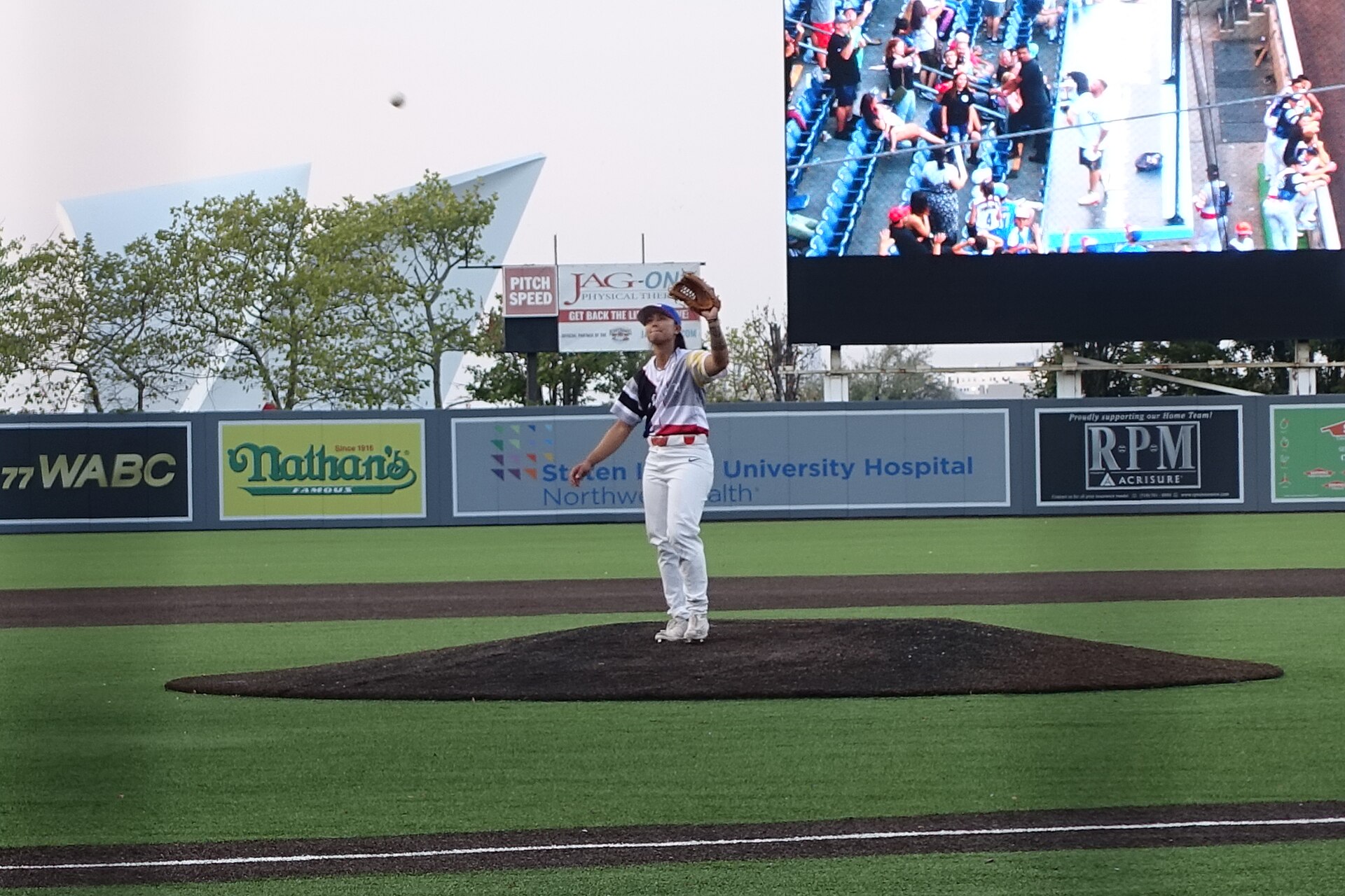 Long Island Ducks — Wikimedia Commons