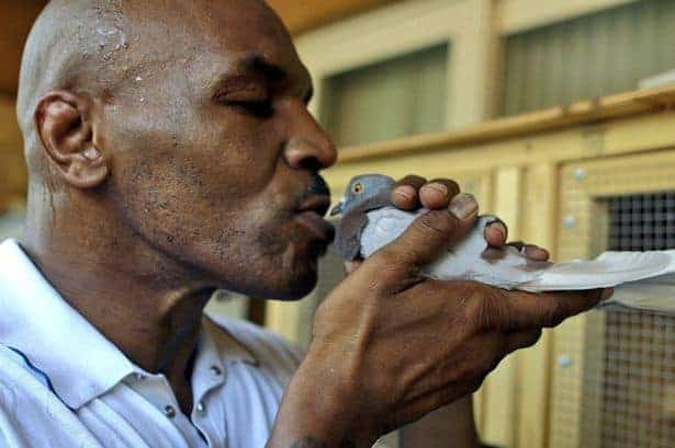 25 Elite Athletes With Unexpected Talents