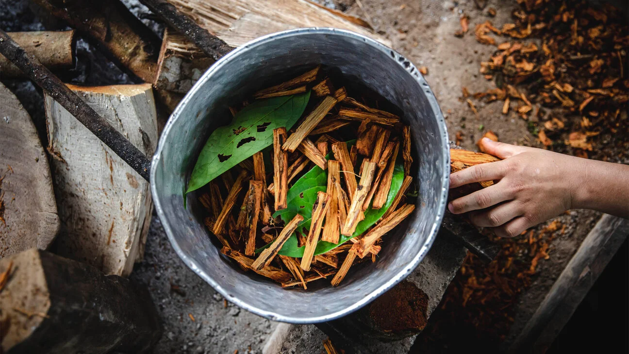 Ayahuasca 1296x728 Header 1296x729.jpg