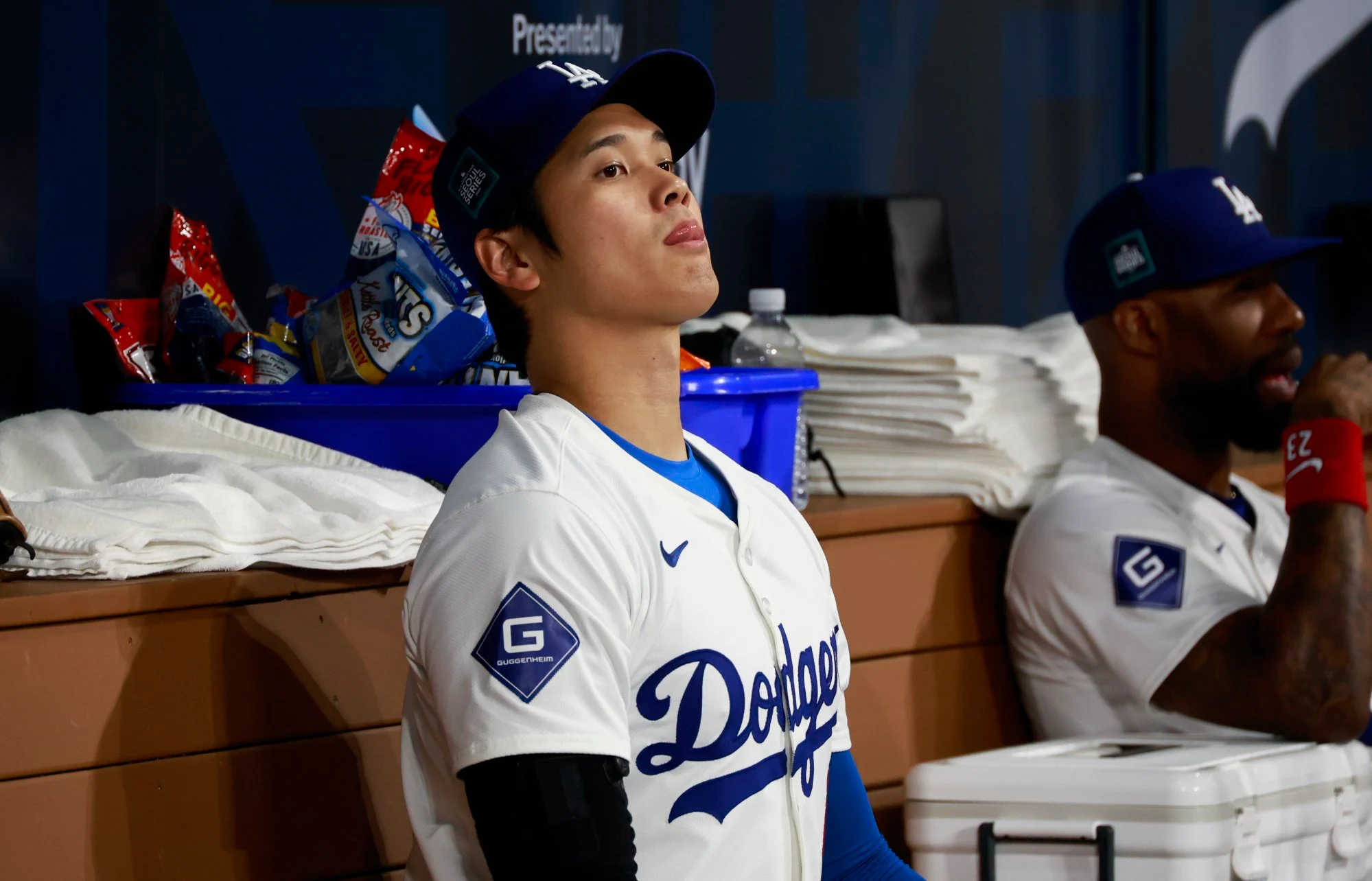 3a1b6613 06a0 4dc7 8f74 39b4cd23d72e 316e521d