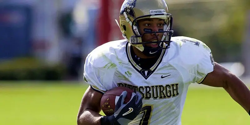 Larry Fitzgerald, Pitt