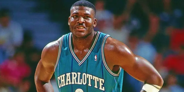 Larry Johnson, Hornets